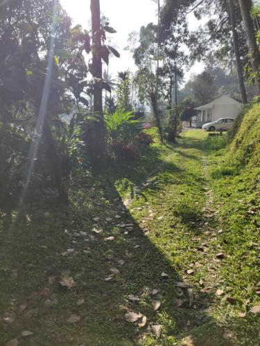 a path through a yard with trees and a house at M3 Homes in Munnar