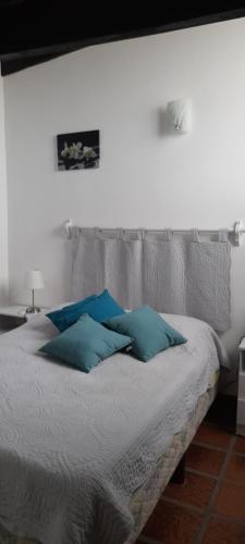 Un dormitorio con una cama con almohadas azules. en Chalet Nathalie Bis, en Punta del Este