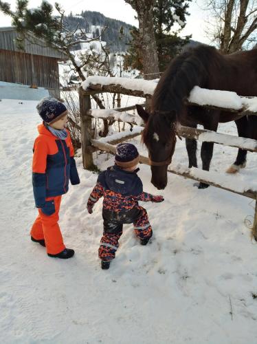 two children are petting a horse in the snow at M4 Appartements in Wagrain