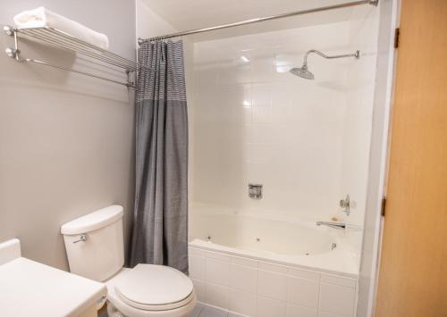 a white bathroom with a toilet and a shower at Blue Mountain Slopeside Chalet in Chateau Ridge in Blue Mountains