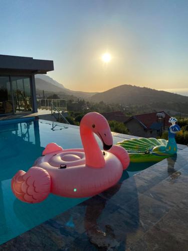 różowy nadmuchiwany flamingo w basenie w obiekcie Chardonnay Guest Studio Rooms with Great view for nature lovers w mieście Kirenia