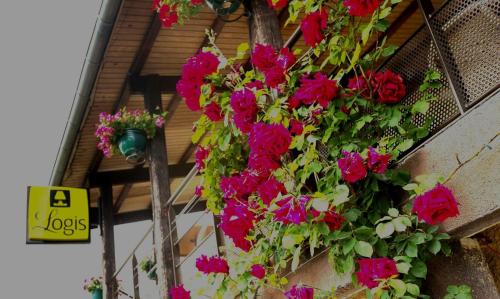 a bunch of flowers hanging from the side of a building at Logis Hôtel Belle Vue in Les Ancizes-Comps