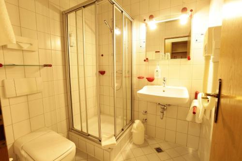 a bathroom with a shower and a toilet and a sink at Hotel & Restaurant Wilhelm von Nassau in Diez