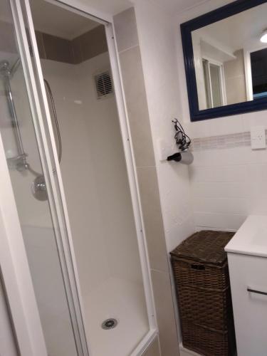 a shower with a glass door in a bathroom at The Chalet Bed and Breakfast-peace and quiet in the country 12 minutes from City in Dunedin