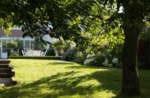 een tuin met een boom en een huis bij B&B Den Boomgaard Moorsel in Moorsel
