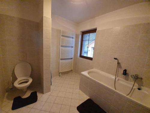 a bathroom with a toilet and a tub and a sink at FerienVilla Nimori in Lipno nad Vltavou