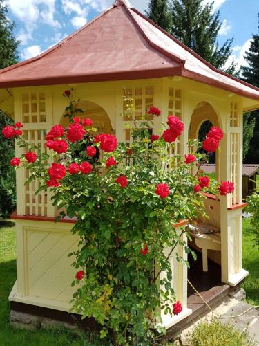 Taman di luar Ferienwohnung Sägemühle