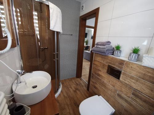 Bilik mandi di Apartamenty U Paliderki