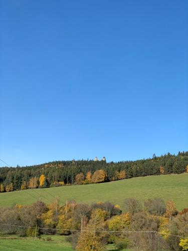 a green field with trees in the background at Penzion Na Solné stezce in Kašperské Hory