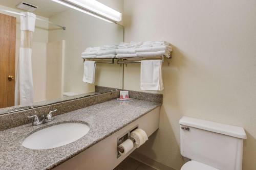 Bilik mandi di Econo Lodge Whitehall near Michigan's Adventure