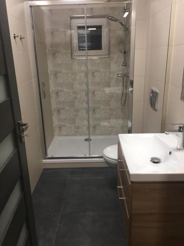 ein Badezimmer mit Dusche, Toilette und Waschbecken in der Unterkunft Zahradní dům in Bělkovice