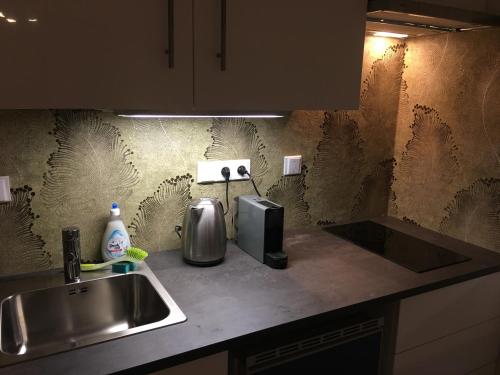Kuchyň nebo kuchyňský kout v ubytování Apartmán Čertovka