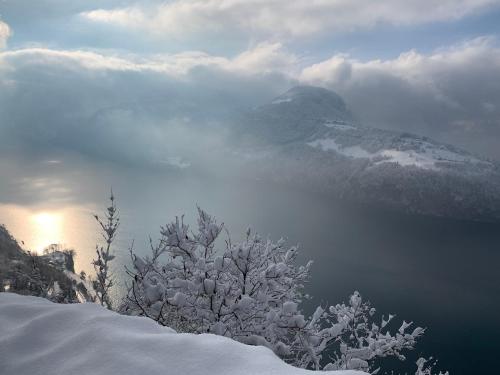 a view of a snow covered mountain and a lake at priv. Apartment bei Swiss Holiday Park in Morschach