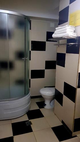 a bathroom with a toilet and a glass shower at Asia Hotel in Târgu Jiu