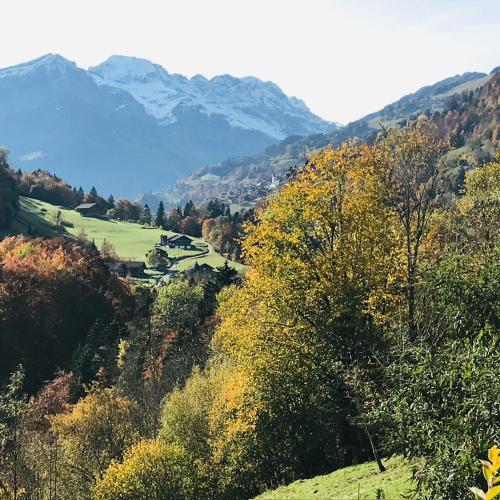 a view of a valley with mountains in the background at Le 30 in Troistorrents