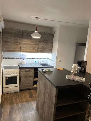 une cuisine avec une cuisinière et un comptoir dans l'établissement les clos de ursulines, à Montargis