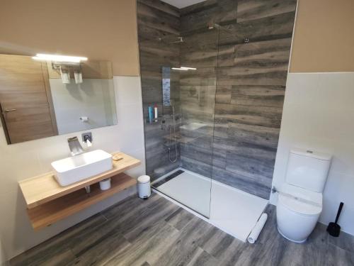 La salle de bains est pourvue d'une douche, d'un lavabo et de toilettes. dans l'établissement Hotel Restaurant Rose des Pyrénées, à Belvianes-et-Cavirac