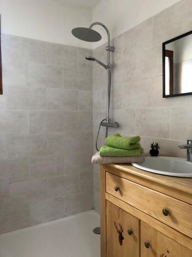 une salle de bain avec un lavabo et une douche dans l'établissement Les Chalets de la Garenne, à La Ferté-Beauharnais