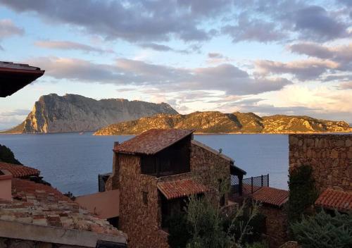 a view of the ocean with mountains in the background at SAN TEODORO PUNTA EST AMPIO TRILOCALE VISTA MARe in Capo Coda Cavallo