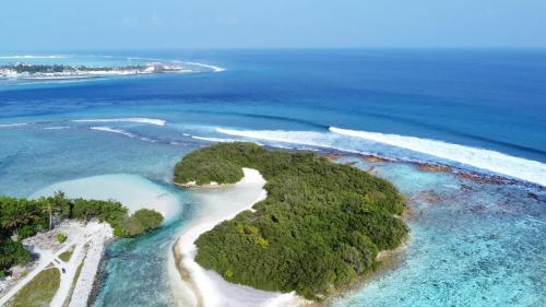 Un paisaje natural cerca de la casa de huéspedes