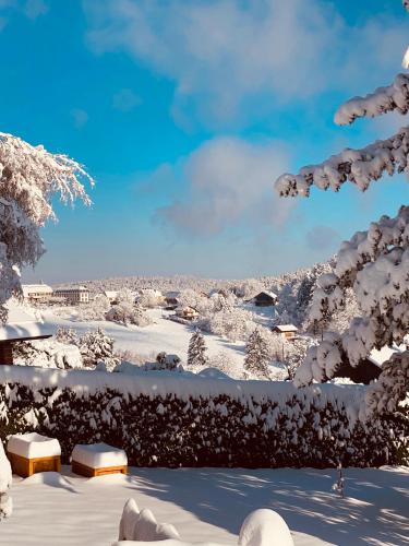 a snow covered garden with trees and buildings at L’hippocampe in Wangenbourg