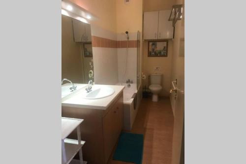 a bathroom with a sink and a toilet at T2 résidence Grand Hotel appt 102 - village thermal montagne in Aulus-les-Bains