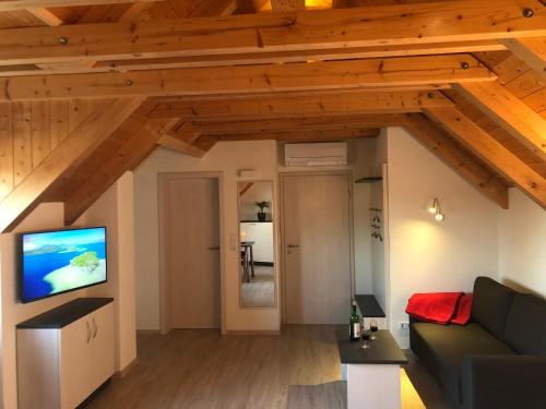 sala de estar con sofá y TV de pantalla plana en Ferienwohnung Zückner, Fränkisches Seenland en Georgensgmünd