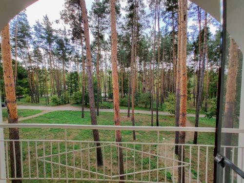 a window view of a forest of trees at Заміський комплекс "Пуща Лісна" in Moshchun