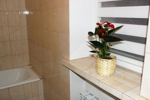 een badkamer met een vaas met een plant op een toonbank bij Dom Warszawa/Legionowo in Legionowo