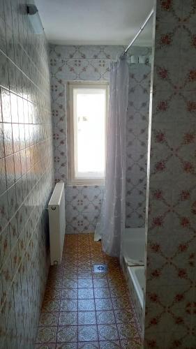 ハイリゲンブルートにあるHaus Lengのバスルーム(シャワー、窓付)が備わります。