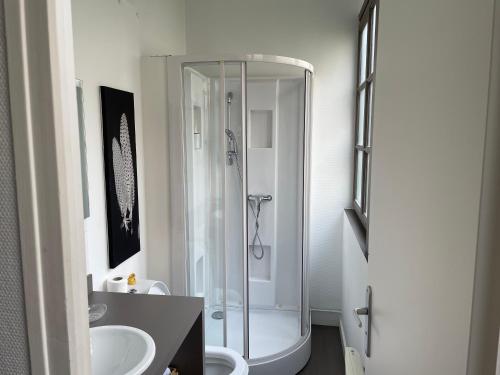 a bathroom with a shower and a sink at logement entier 33 m2 à Pau in Pau