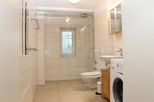 a bathroom with a toilet and a shower and a sink at Alt-Gailingen in Gailingen