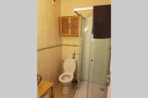 een badkamer met een toilet en een douche bij Studio idéalement situé in Cauterets