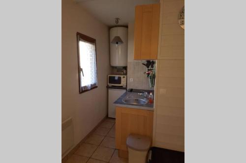 une petite cuisine avec un évier et un micro-ondes dans l'établissement Studio idéalement situé, à Cauterets