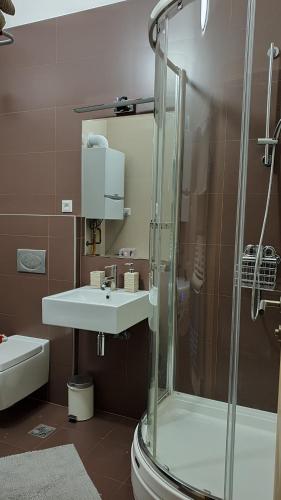 een badkamer met een wastafel en een douche bij Winter dream Bjelasnica in Bjelašnica