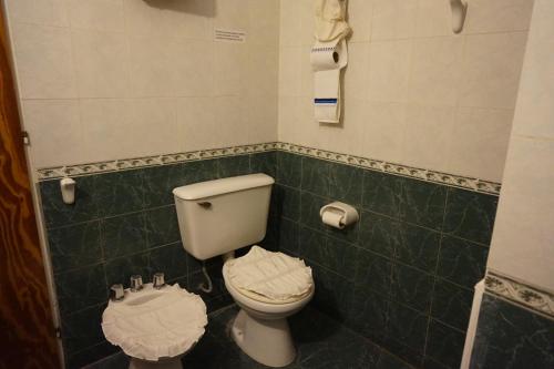 ein Badezimmer mit einem WC und einer grün gefliesten Wand in der Unterkunft Departamentos Kemi in San Luis