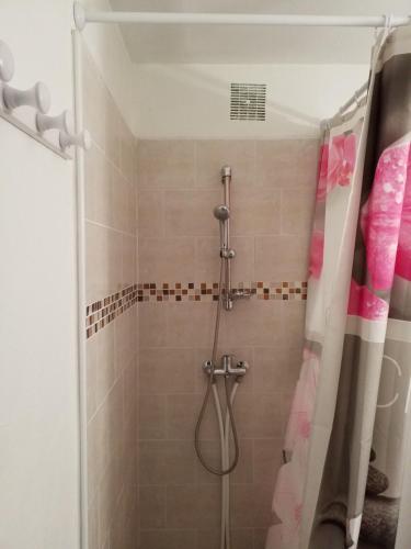 y baño con ducha y cortina de ducha. en Appartement Centre Guadeloupe, accessible et proche en Les Abymes