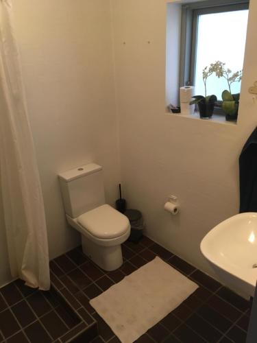 Koupelna v ubytování Rolsø Retreat