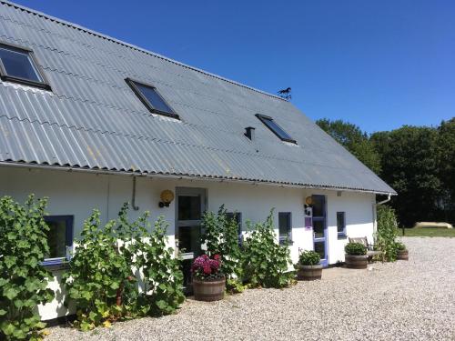 a white building with potted plants in front of it at Rolsø Retreat in Knebel