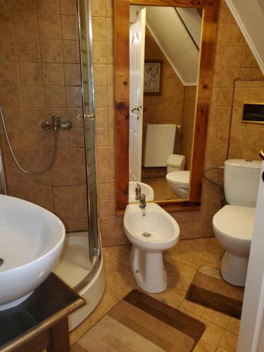 a bathroom with a sink and a toilet and a shower at Pensiunea Grosspold in Miercurea Sibiului