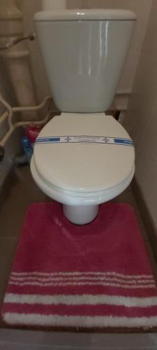 a white toilet with a red rug next to it at Comfort House бульвар Олександрійський 125 in Bila Tserkva