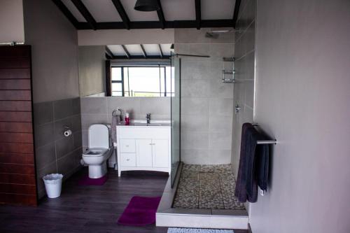 a bathroom with a toilet and a sink at Kosmos, Hartbeespoort in Hartbeespoort