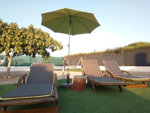 Κήπος έξω από το Azimute Guest House