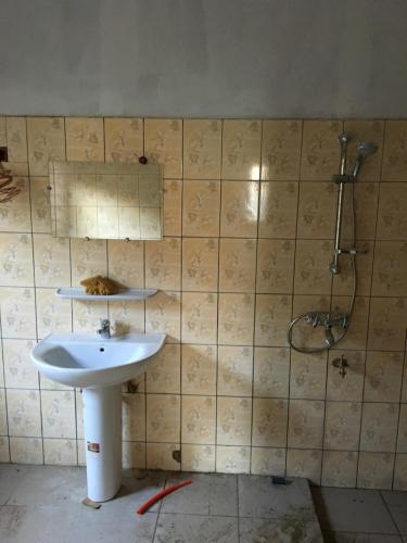 een badkamer met een wastafel en een douche bij Irini's apartment in Cotonou