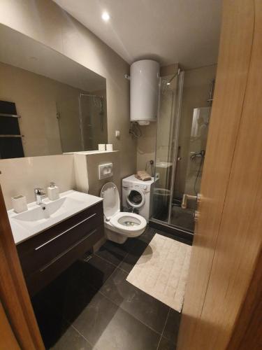 a bathroom with a toilet and a sink and a shower at Vila Irina Kopaonik - Apartman IN in Kopaonik