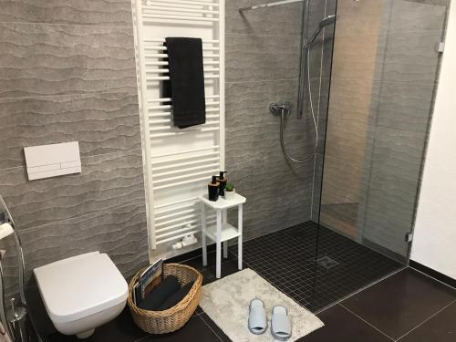 ein Bad mit einer Dusche, einem WC und einem Waschbecken in der Unterkunft Villa Amselgrund in Rathen