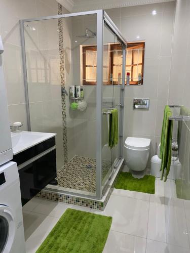 a bathroom with a shower and a sink and a toilet at Peacock Cottage, 95 Eden Wilds in Port Edward