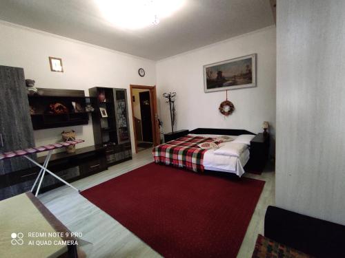 Schlafzimmer mit einem Bett und einem roten Teppich in der Unterkunft Квартира в центрі міста in Lwiw