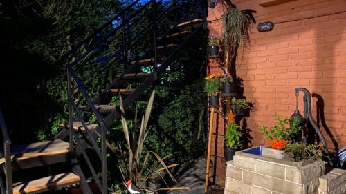 a wooden staircase next to a brick wall with plants at Ruda Lodge Exclusive Bed & Breakfast in General Rodríguez