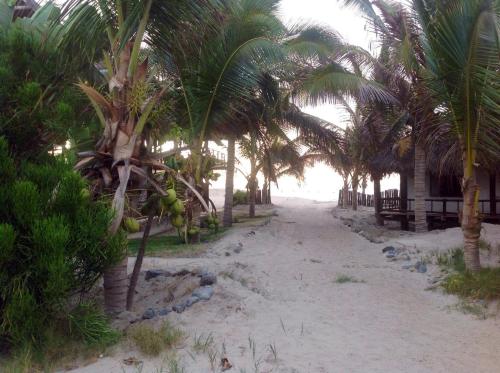a row of palm trees on a sandy beach at Hotel Villa Sirena in Vichayito